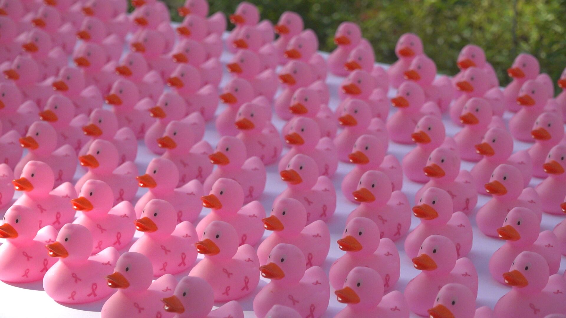 AA1NJKHb Kicau untuk Penyembuhan Kanker Payudara dalam Bulan Kesadaran Kanker Payudara