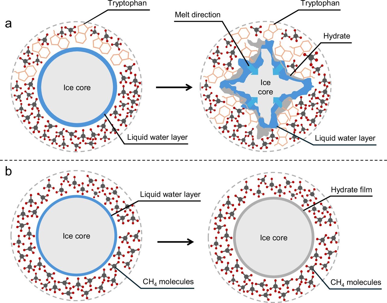 AA1NJNlW Es yang dicampur dengan asam amino menyimpan metana dalam menit