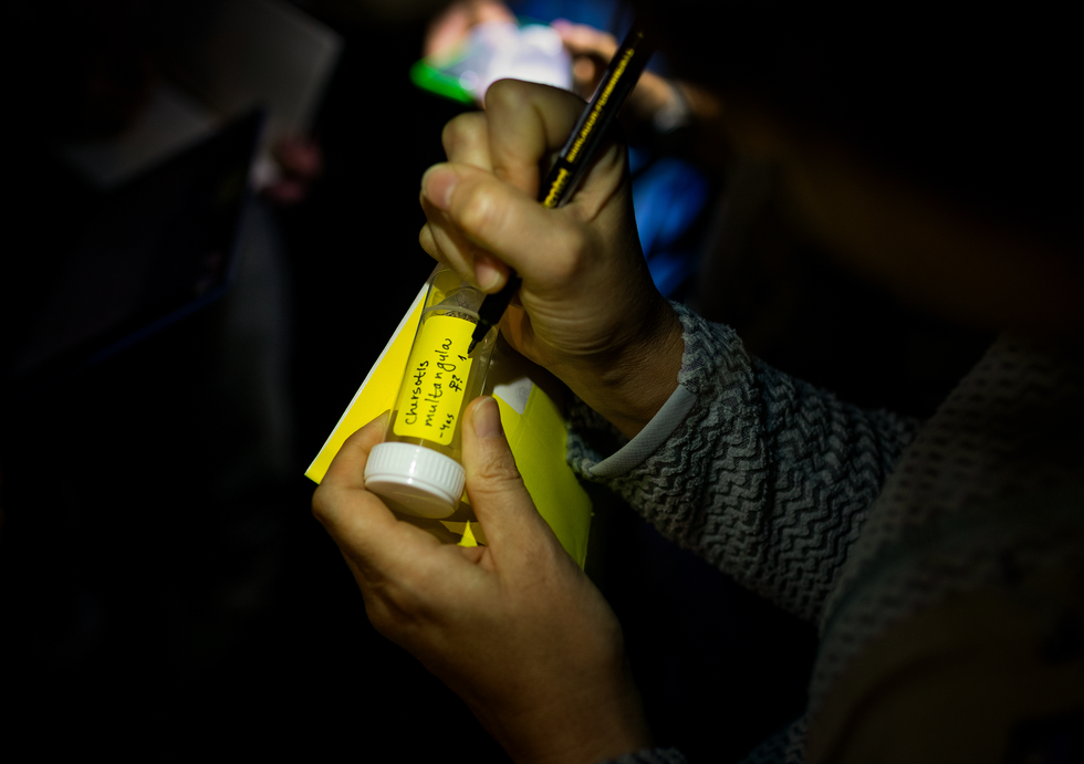 AA1NJPpu Kegiatan untuk Mengurutkan Genom Semua Hal