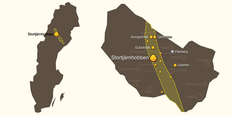 Svenska guldbolagets vd om rekordfyndet: ”Gåshud”