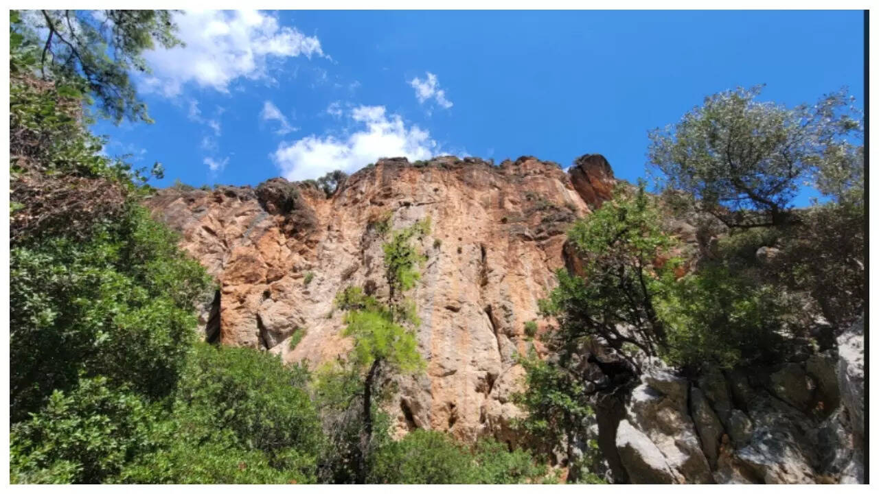 Optical illusion: We will rename you 'hawk eyes' if you can spot the ...