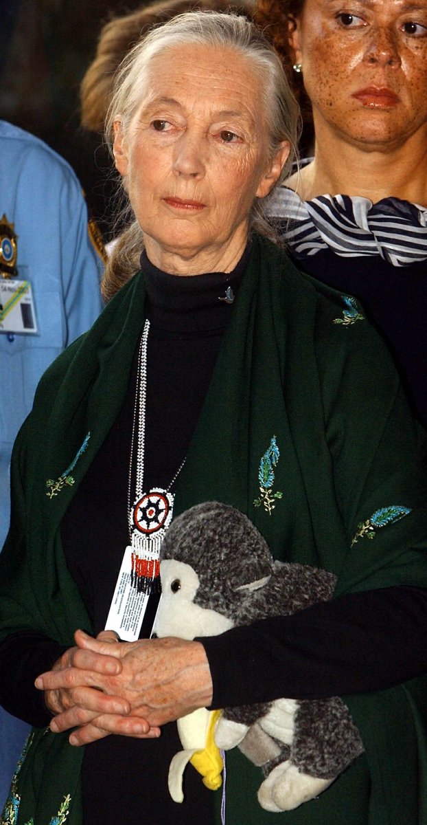 Jane Goodall dies at 91: a look back