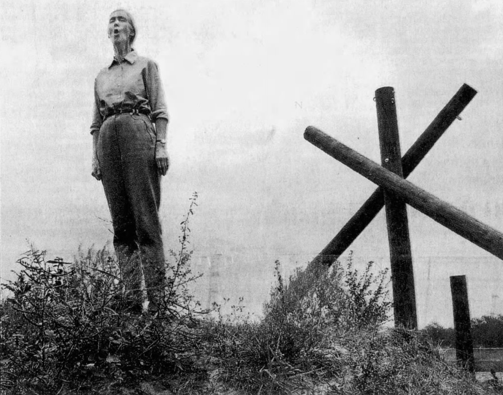 Jane Goodall Visited Save The Chimps In Fort Pierce Taught Sanctuary