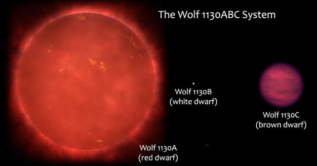 AA1NKWIB Misteri Kosmik Semakin Mendalam Saat Molekul 'Biosignatur' Dilihat pada Bintang Gagal