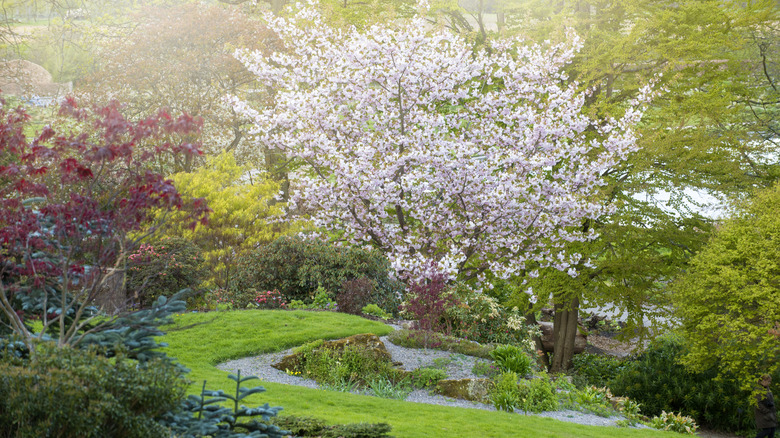 AA1NKXDt Teknik Menanam yang Sudah Berabad-abad yang Dapat Meningkatkan Kesehatan dan Panen Pohon Buah Anda