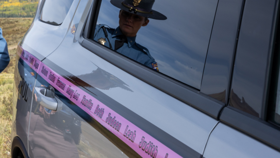 AA1NKZEA Mengapa beberapa kendaraan CSP berwarna merah muda bulan ini