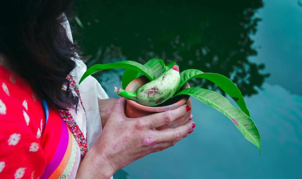 AA1NKhAR Mangga & Ibuku