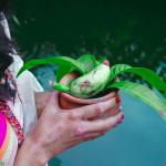 AA1NKhAU Mangga & Ibuku