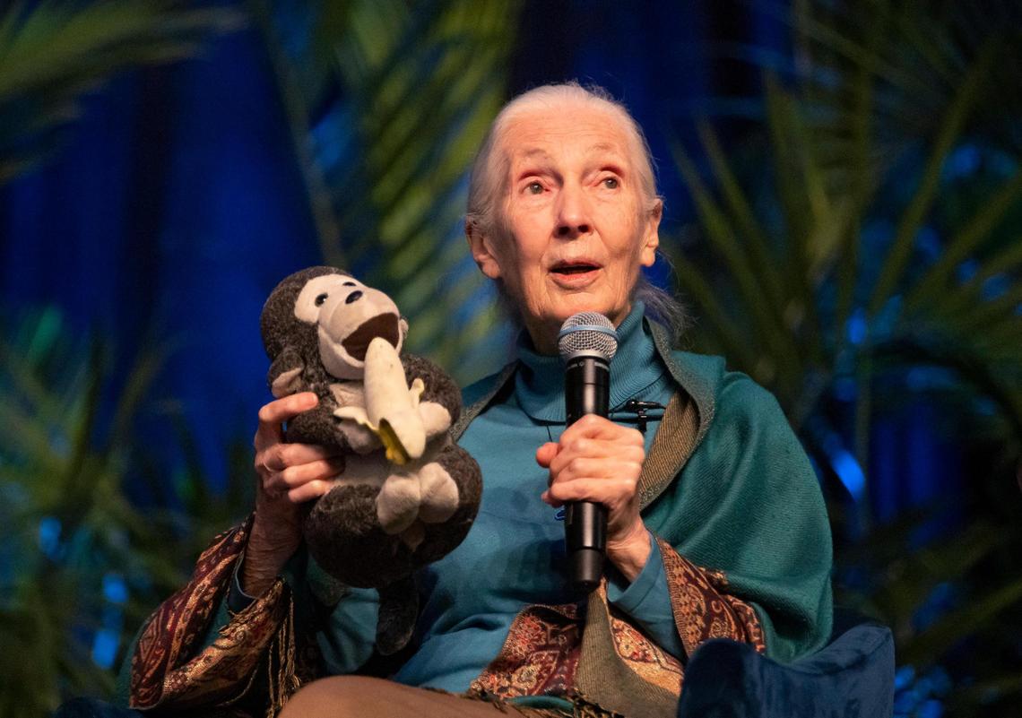 AA1NKhuB Jane Goodall mengungkapkan kepada rekan 'Canes saat dia menyadari takdirnya