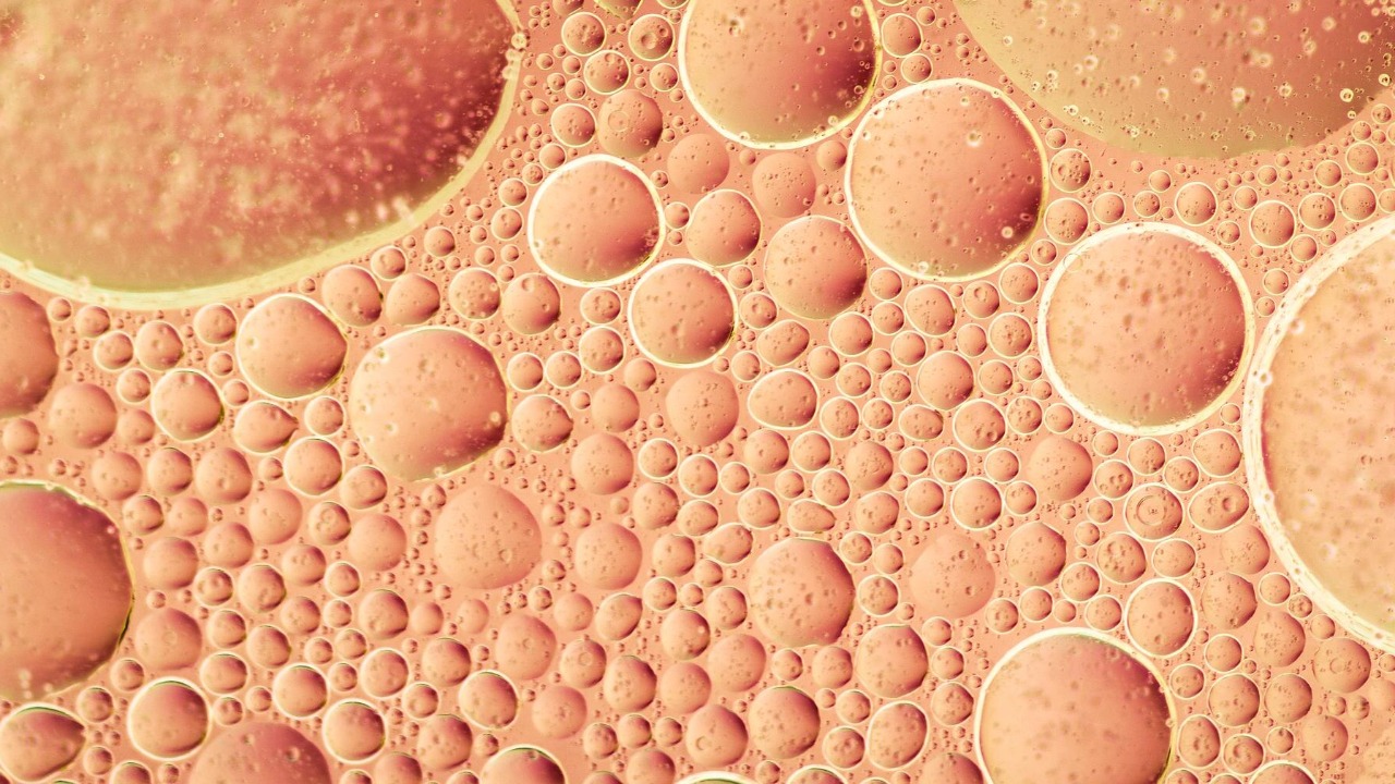 AA1NKjl5 Sel kulit manusia diubah menjadi sel telur dalam studi kesuburan terobosan