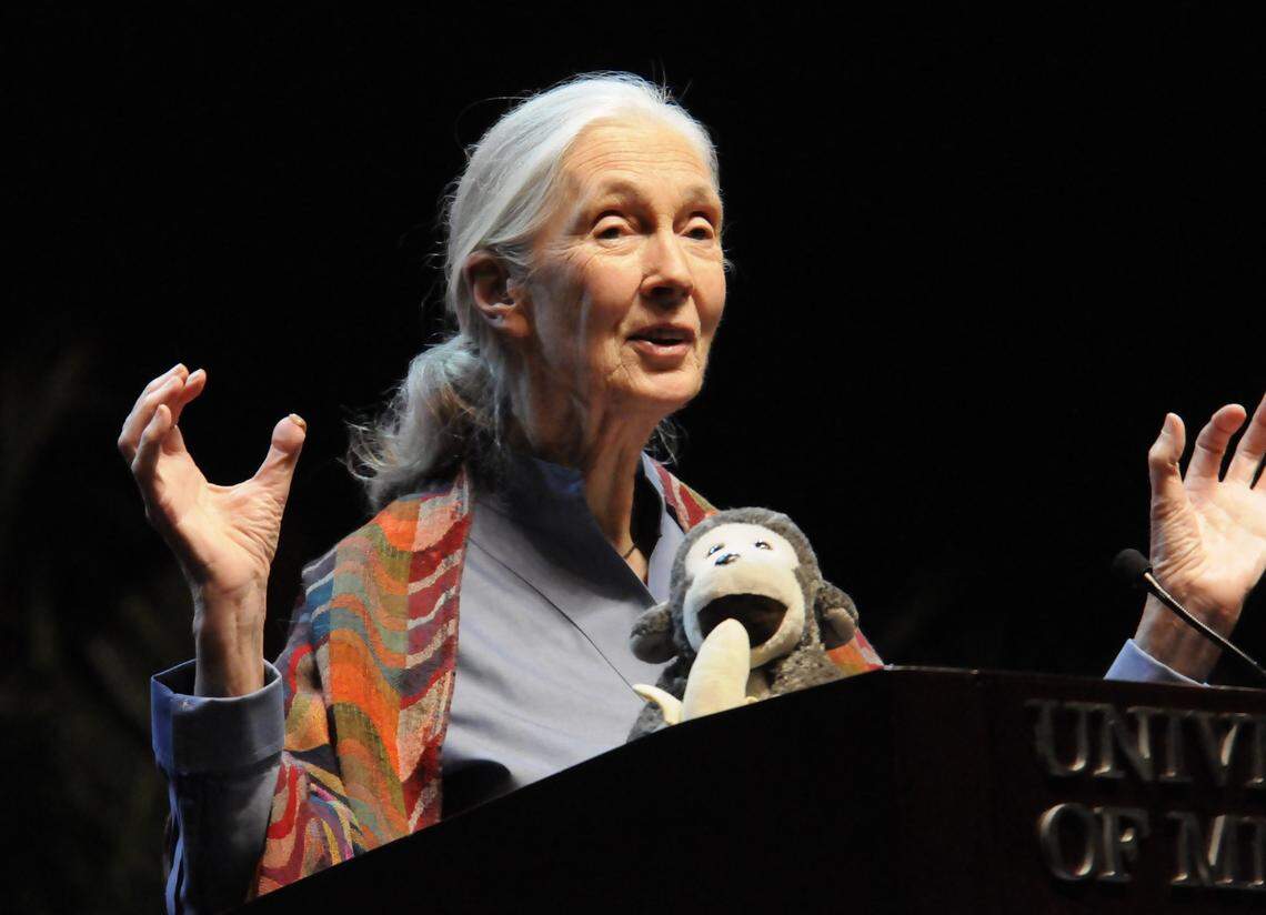 AA1NKm8v Jane Goodall mengungkapkan kepada rekan 'Canes saat dia menyadari takdirnya