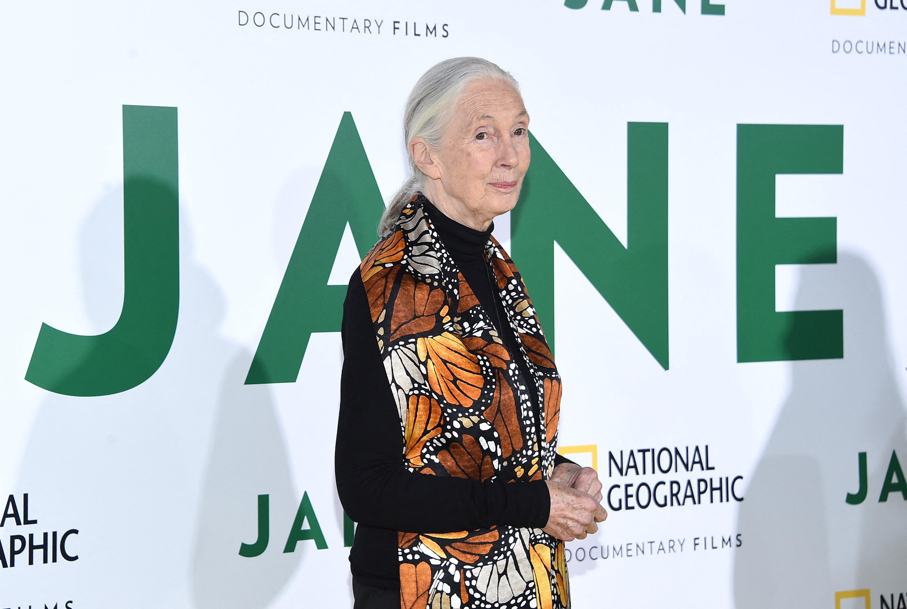 AA1NKucI Apakah Jane dalam Seri 'Tarzan' Berdasarkan Jane Goodall? Ini Jawaban yang Sebenarnya