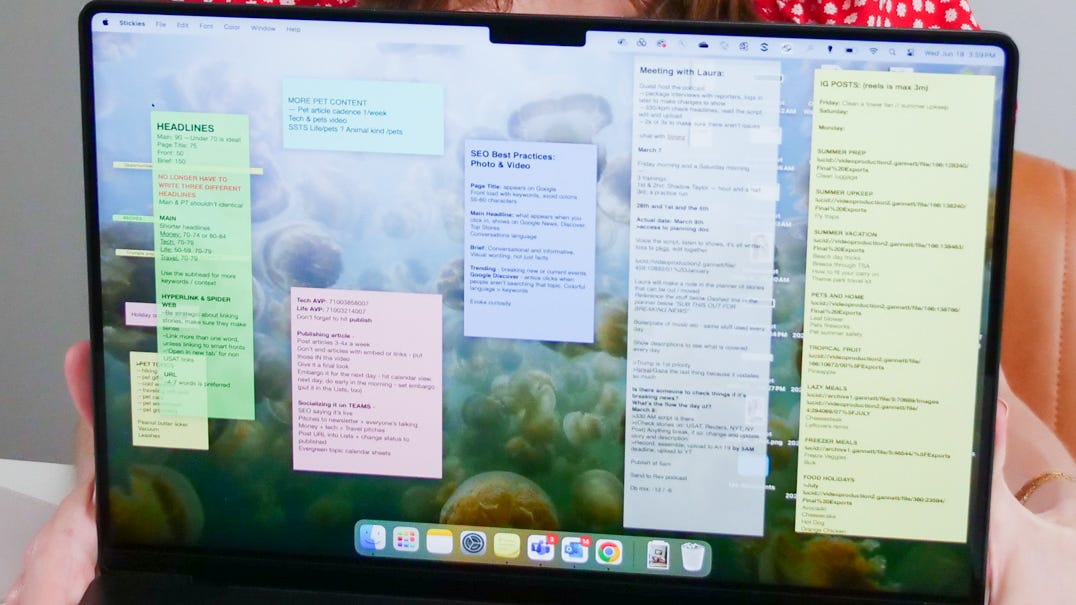 Stickies: You're probably not using this feature on your computer enough