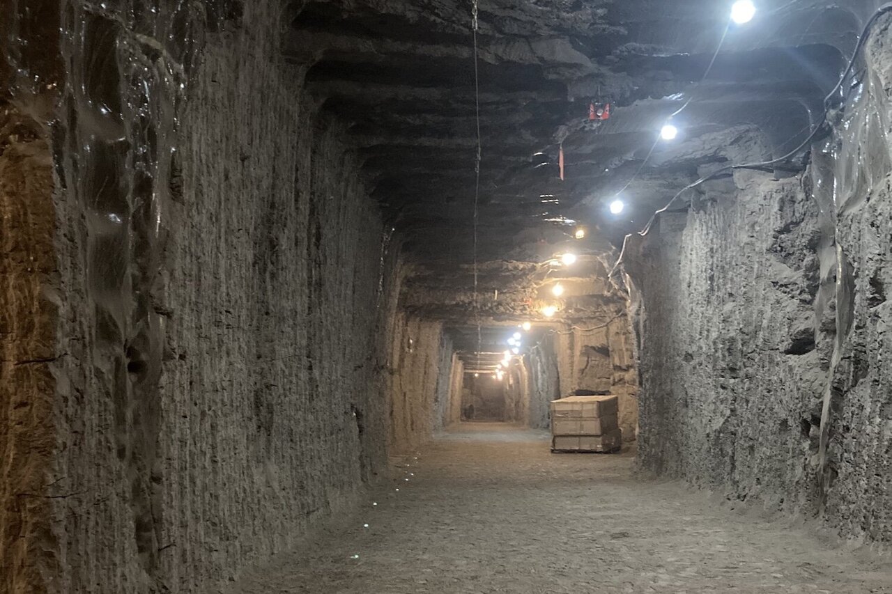 AA1NKyos Mikroba yang terjebak dalam tanah beku bangun setelah ribuan tahun