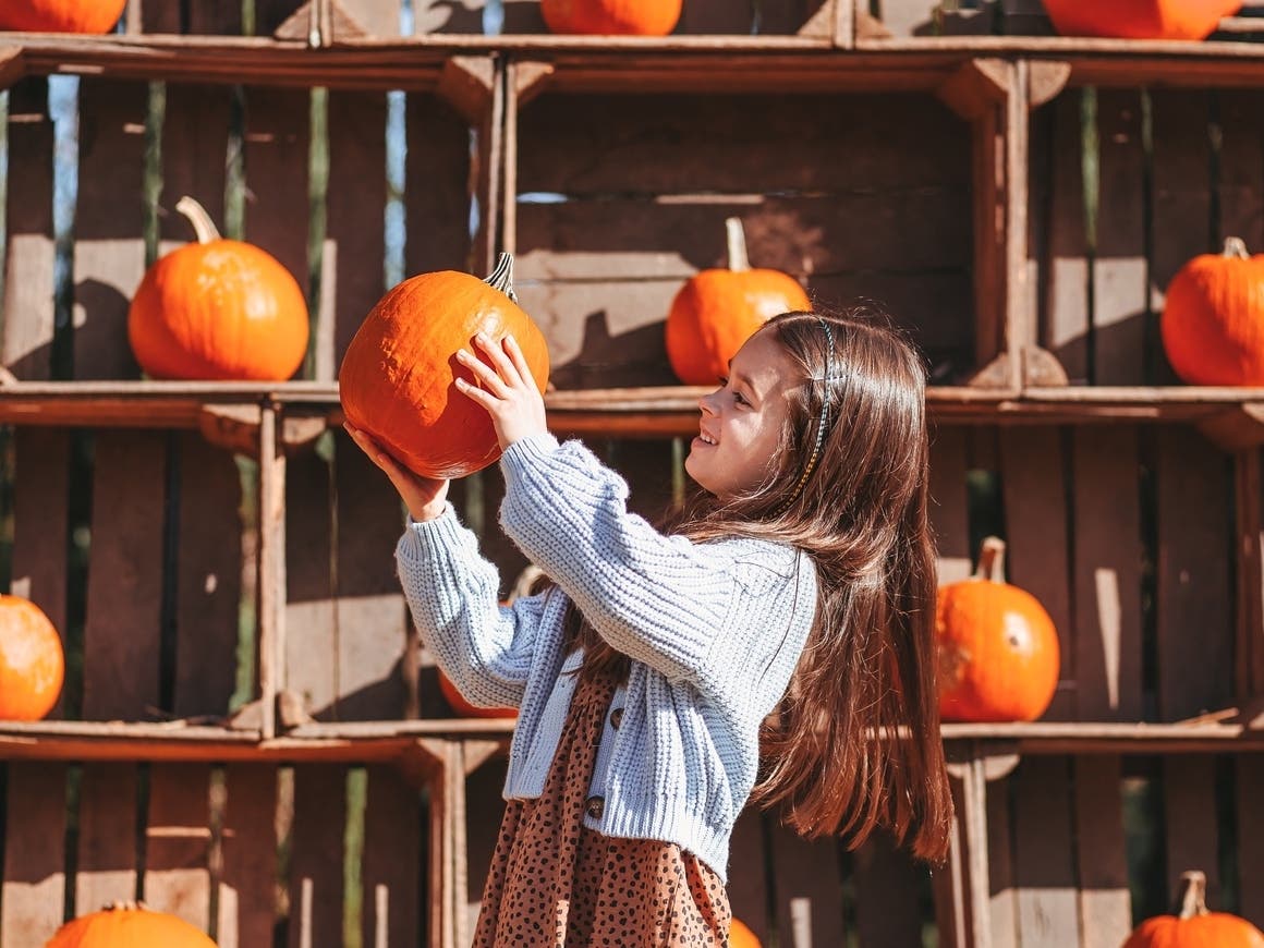 Temecula Gears Up For Annual Halloween Fun: Carnival, Bike Ride & Decor