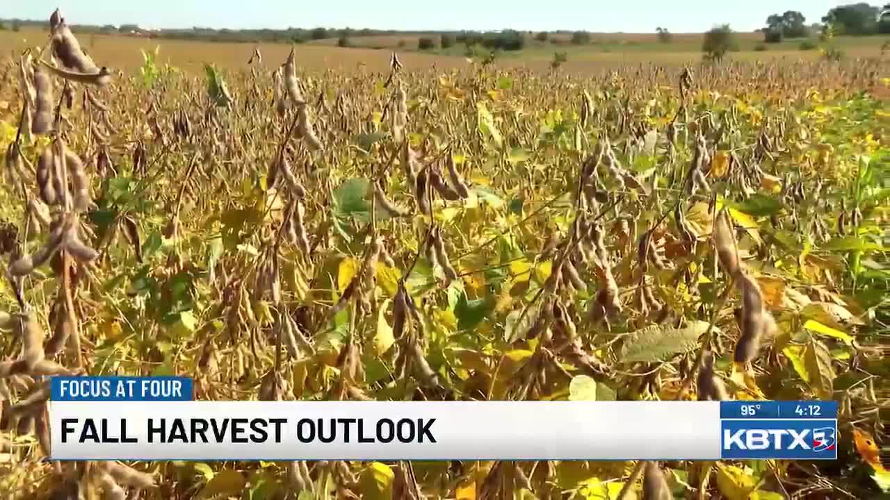 Farmers face more challenges as fall harvest begins