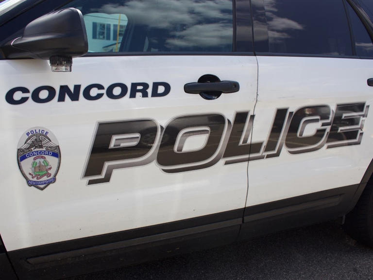 Concord, Loudon Residents Arrested On Theft Charges Concord Police Log