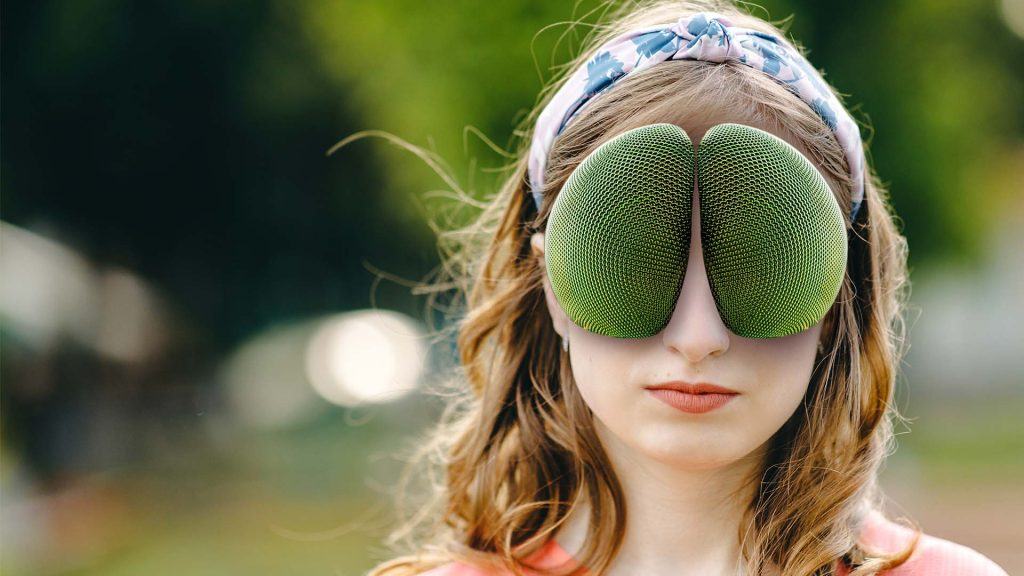 What If You Had Eyes Like a Fly?