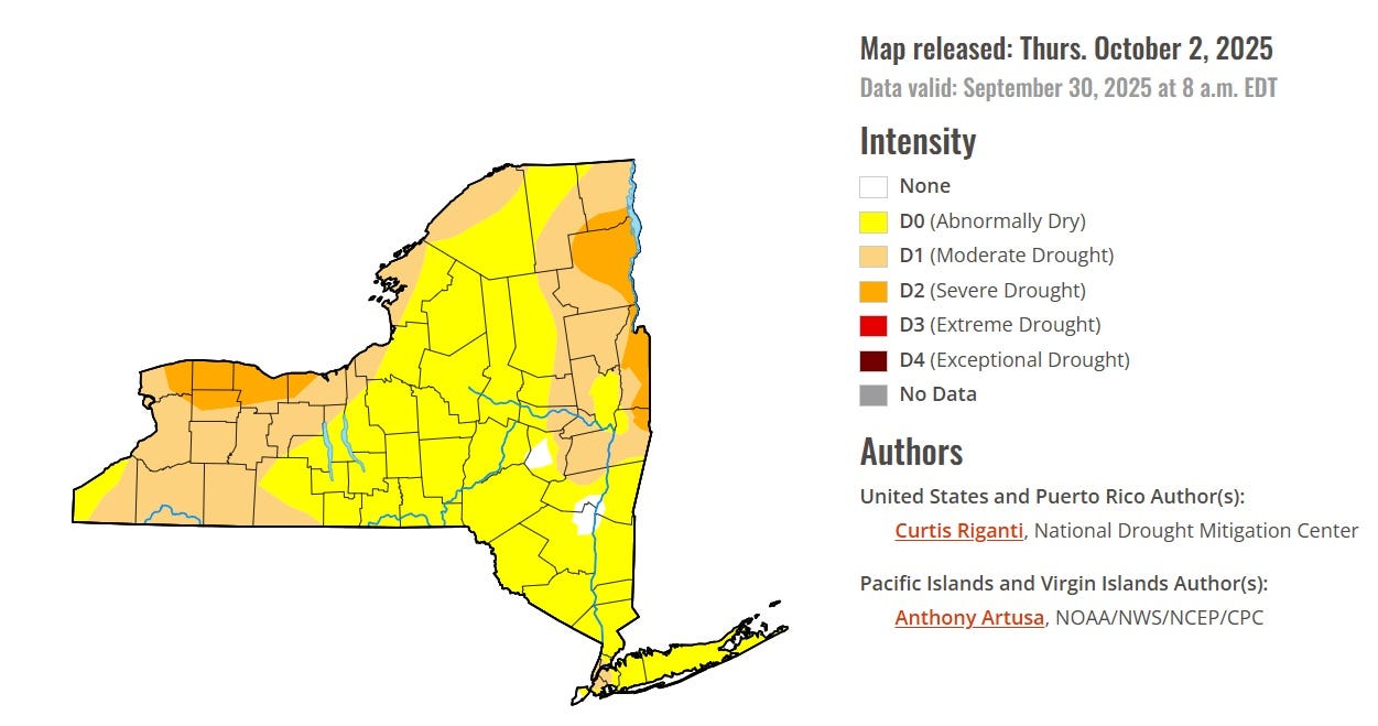 Parts of Rochester region in severe drought. Here's what to know