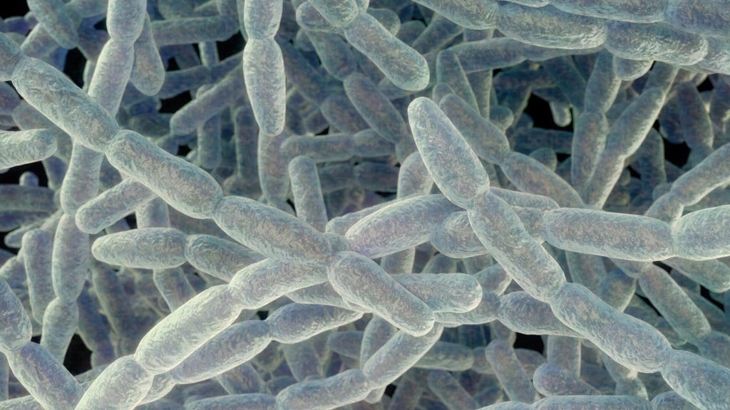 4th death confirmed in Legionnaires' disease outbreak on the Upper East Side