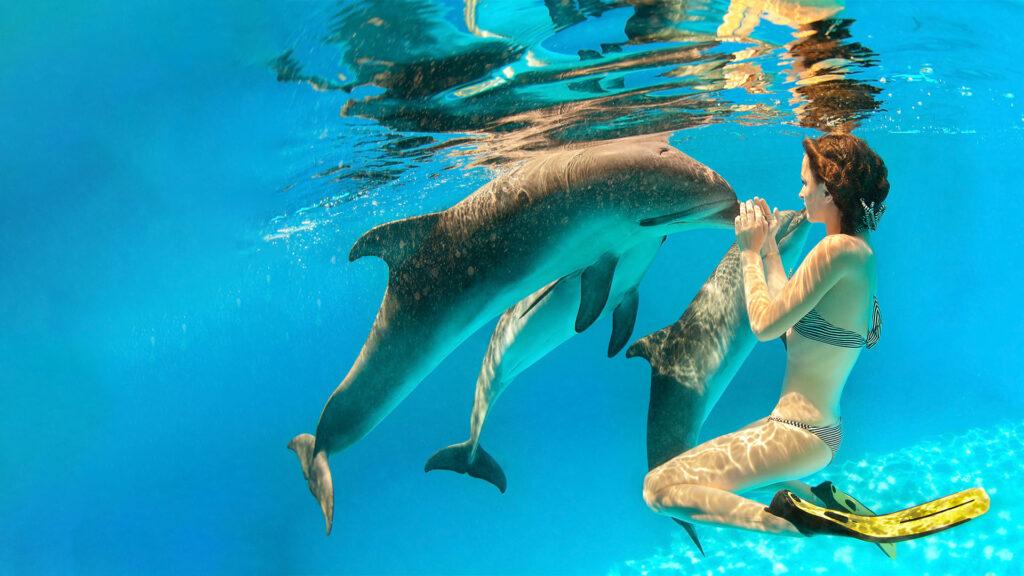 How to Survive a Dolphin Attack