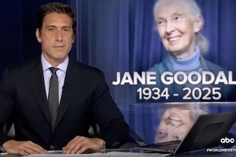David Muir praised for his outstanding coverage as world mourns