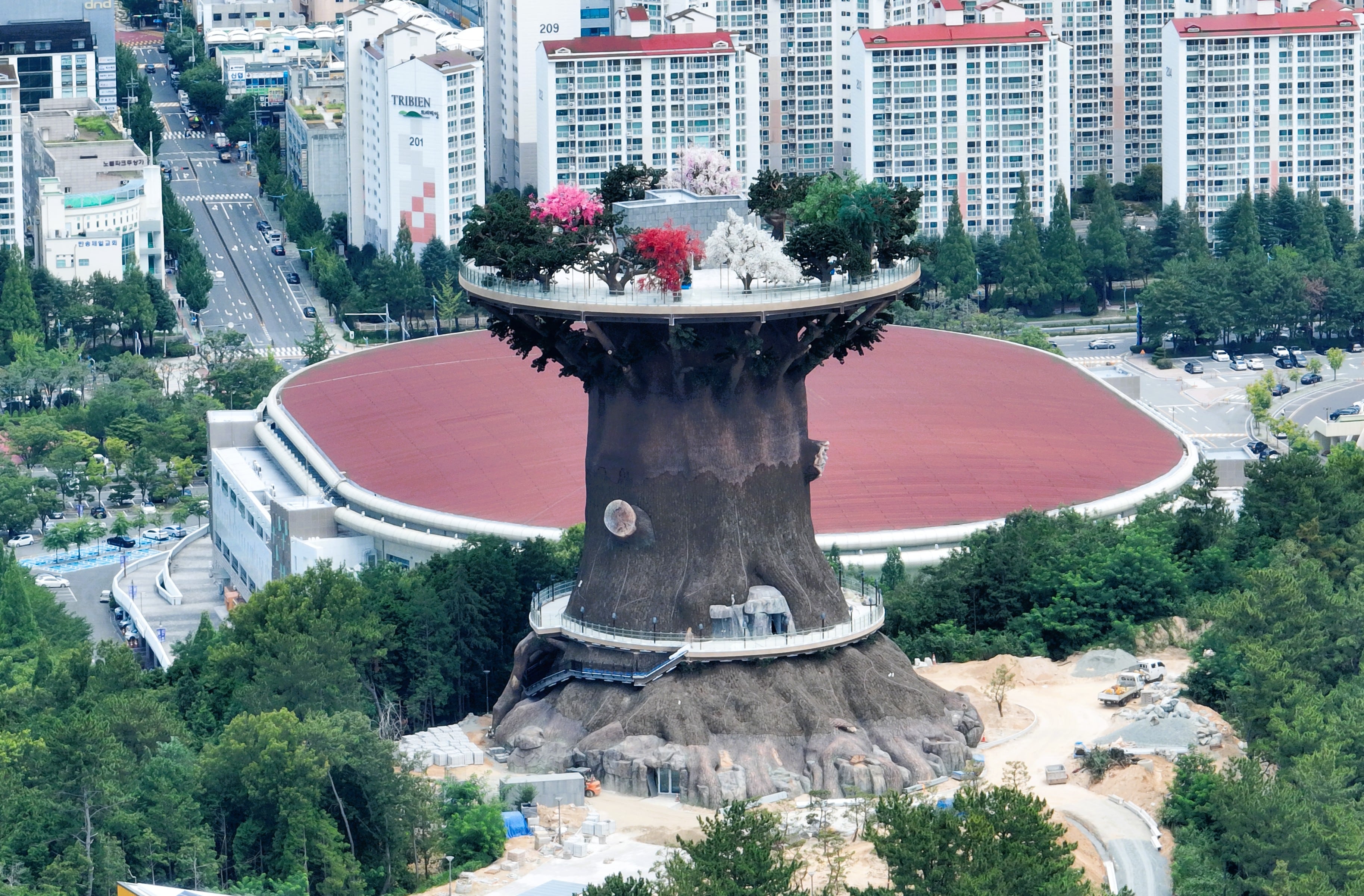 changwon-s-big-tree-opens-amid-eyesore-controversy