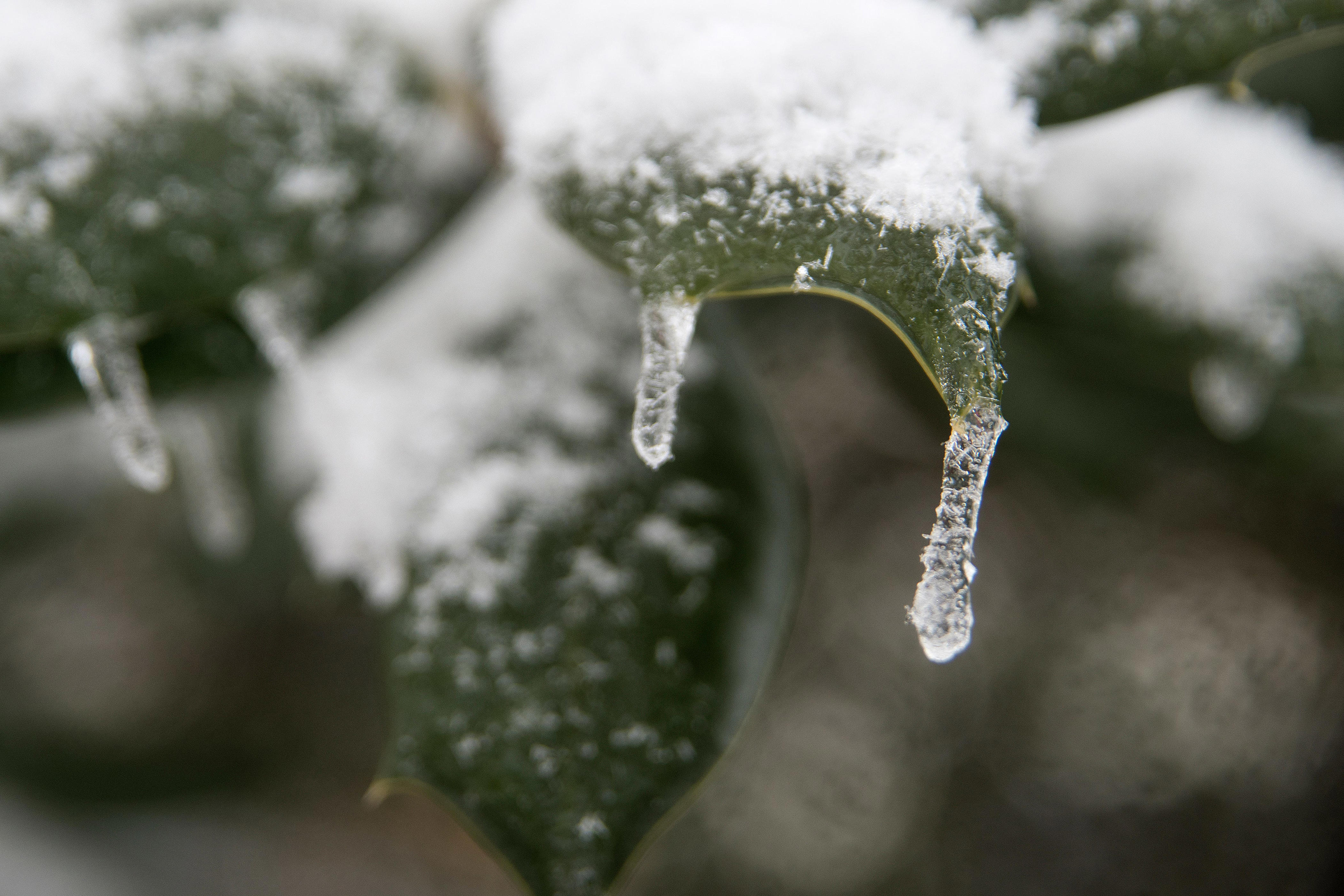 Polar vortex, winter weather advisories hit US. When can New Jersey see ...