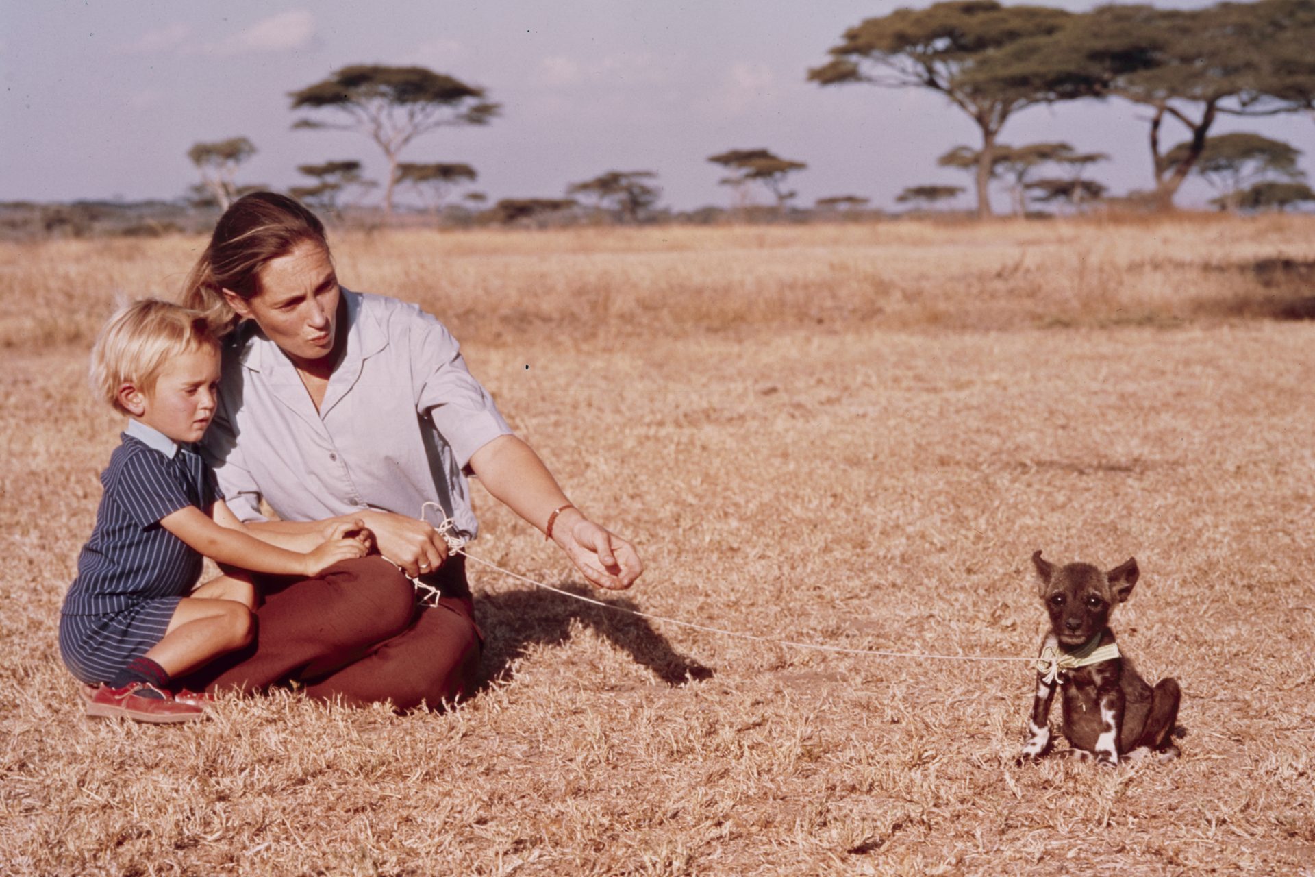 El mundo dice adiós a Jane Goodall