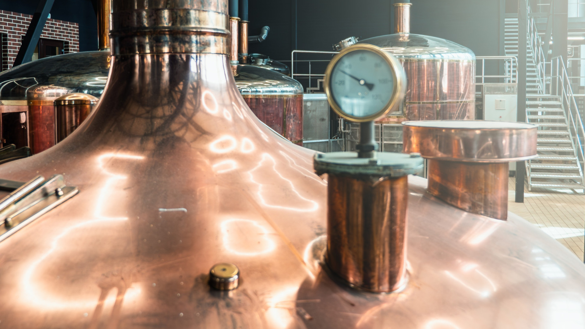 Ist Fermentation der Schlüssel zu einem langen Leben?