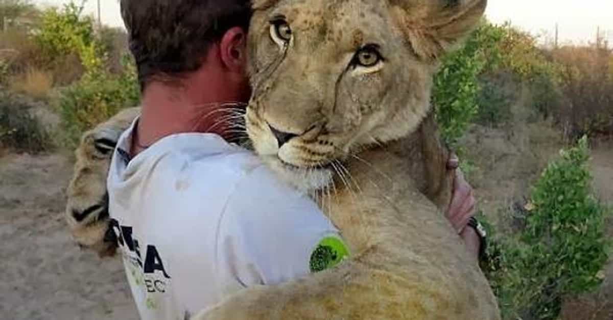 Times Wild Animals Saved Humans