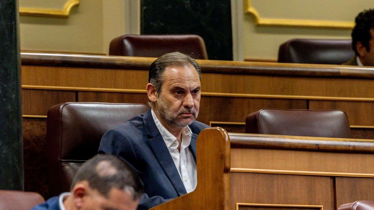 El Constitucional rechaza el recurso de Ábalos y avala que la Guardia ...
