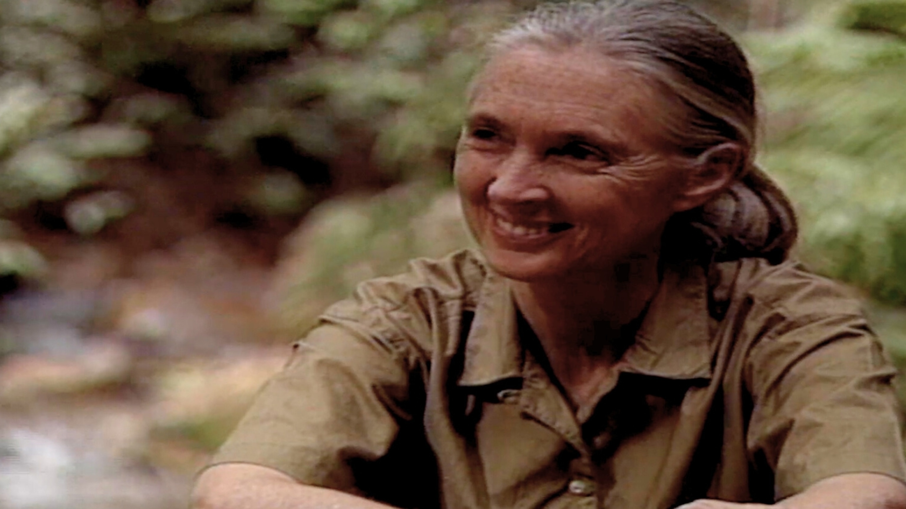 From the archives: Jane Goodall’s 1993 Primetime interview