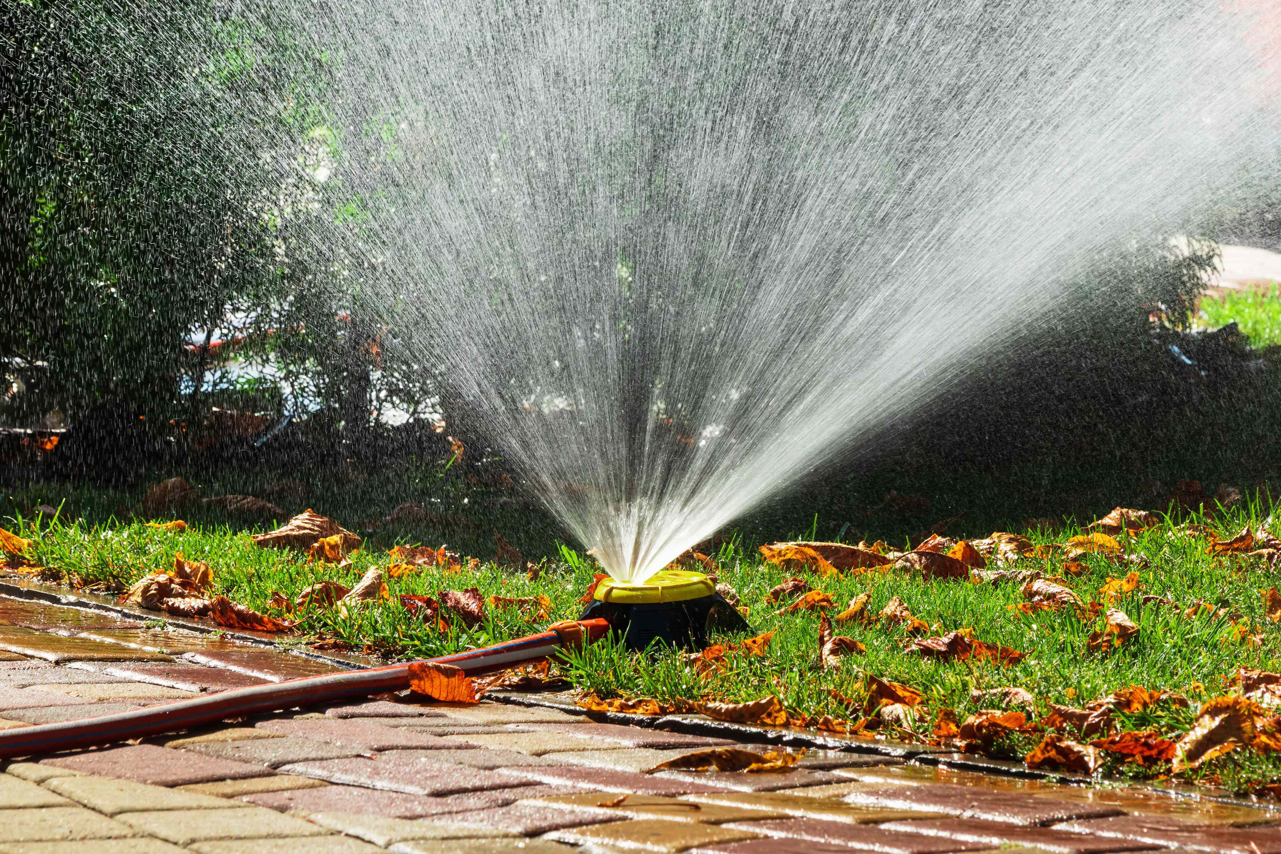 When to stop watering your lawn in fall for healthier grass next spring
