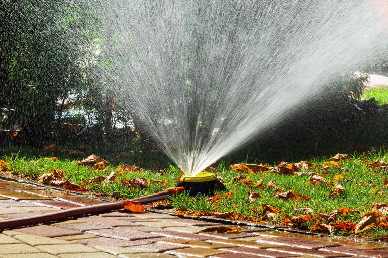When to stop watering your lawn in fall for healthier grass next spring