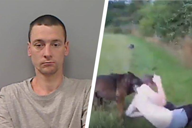 Video shows moment police dog caught burglar who stole jewellery and ...