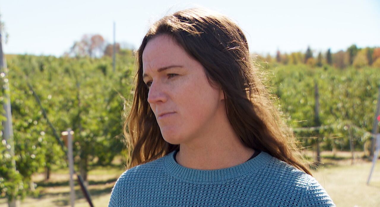 New mental health support for N.B. farmers