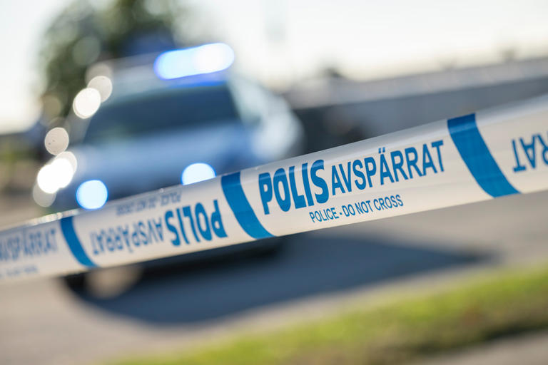 Image Result For Receitas De Chs E Sucos Fceis Para Ajudar O Corpo A Desinchar