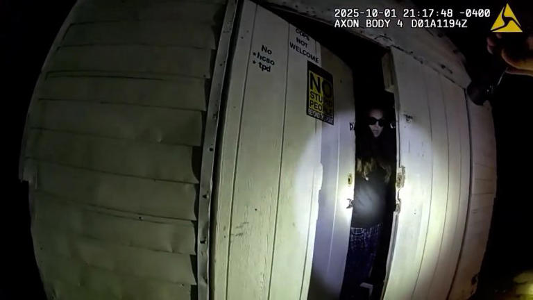 Darn : Video shows Hillsborough deputies capture wanted woman hiding Darn : Video shows Hillsborough deputies capture wanted woman hiding
