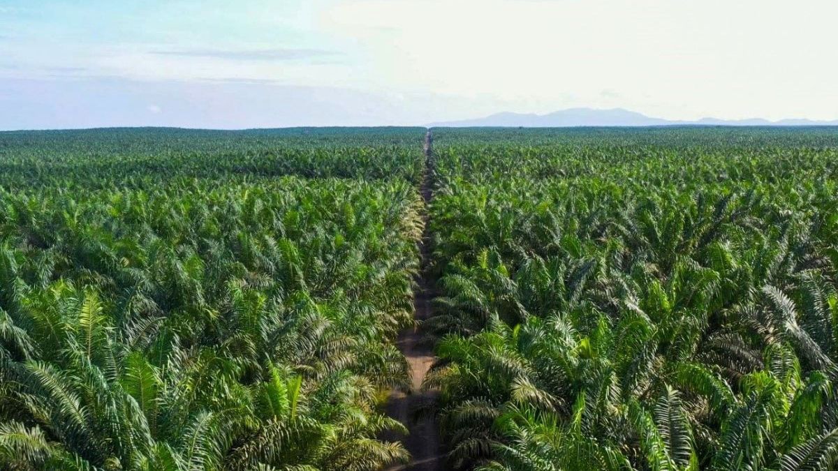 Mengungkap Saham JARR: Jejak 