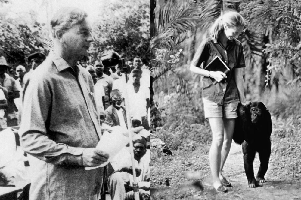 AA1NPLgF Kisah Cinta Jane Goodall, Pejuang Lingkungan yang Berpulang