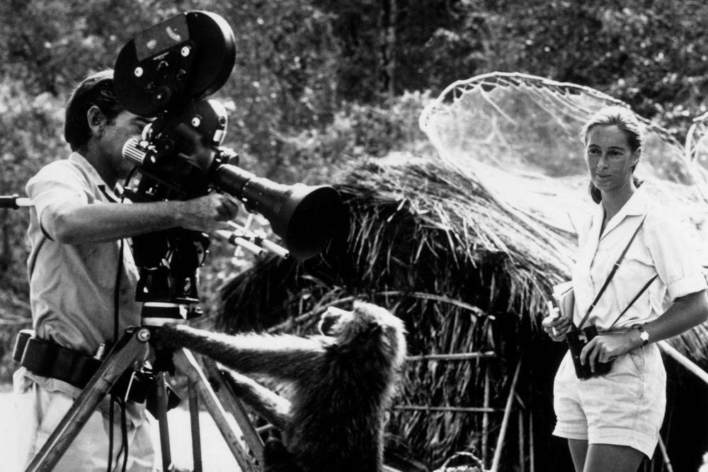 AA1NPQ75 Kisah Cinta Jane Goodall, Pejuang Lingkungan yang Berpulang