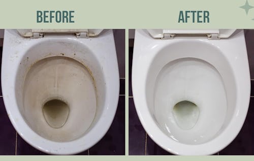 Clever, Cheap & Easy Solutions For The Gross Problems In Your Home