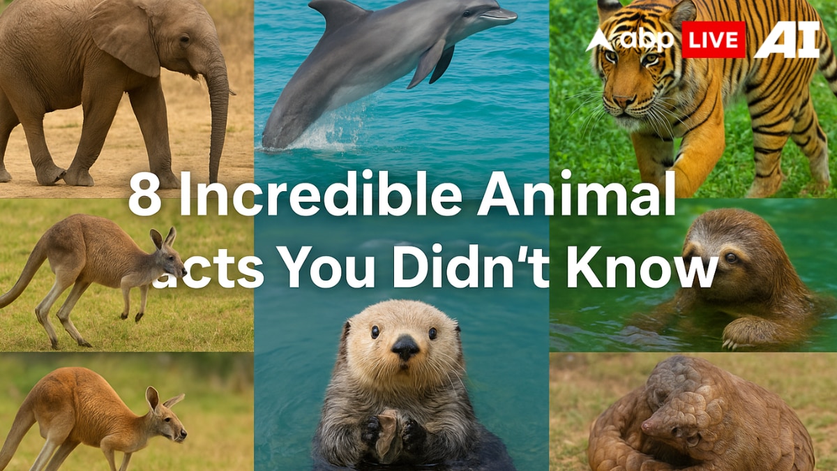 World Animal Day 2025 8 Surprising Animal Facts That Will Blow Your Mind