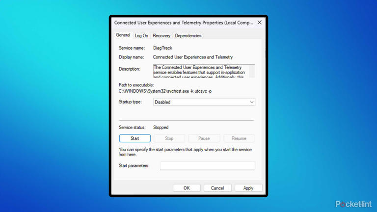 Windows 11 Connected User Experiences service.