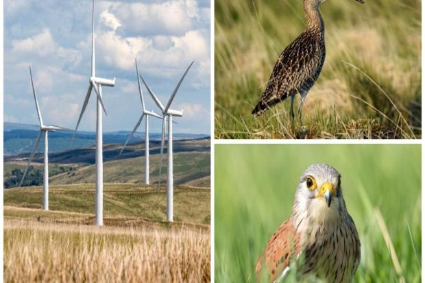 Decision on controversial wind farm plans pushed back again