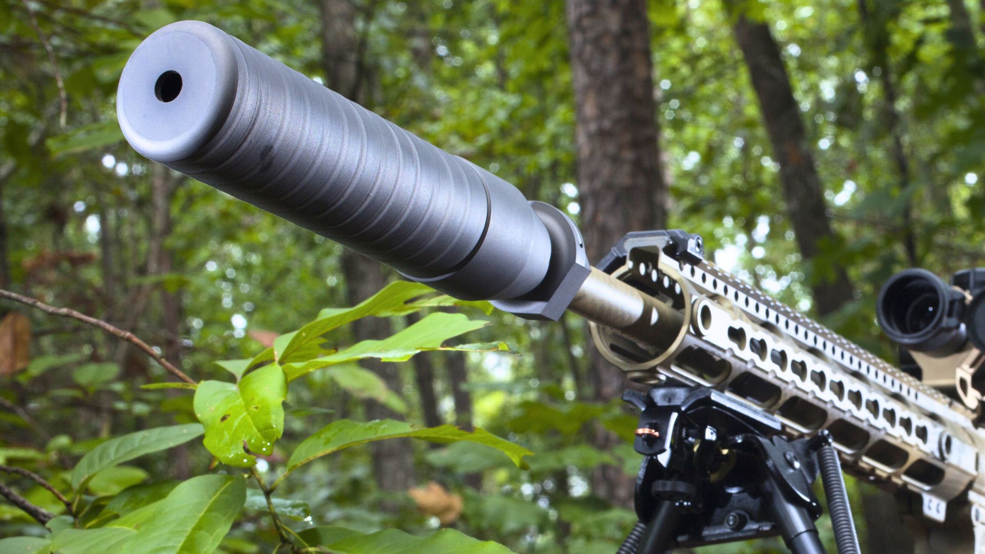 can you legally own a suppressor in texas