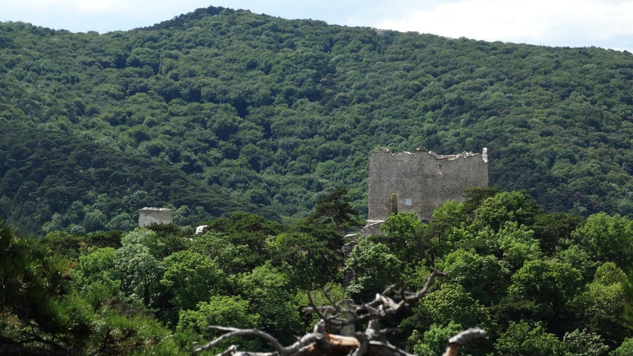 Scientists uncover hidden pyramids in Amazon