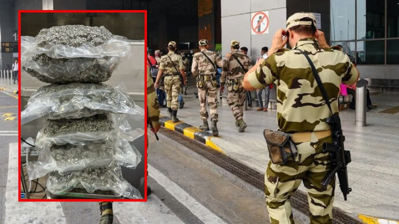Major Drug Bust Marijuana Worth 6 5 Crore Seized In Trolley Bags At