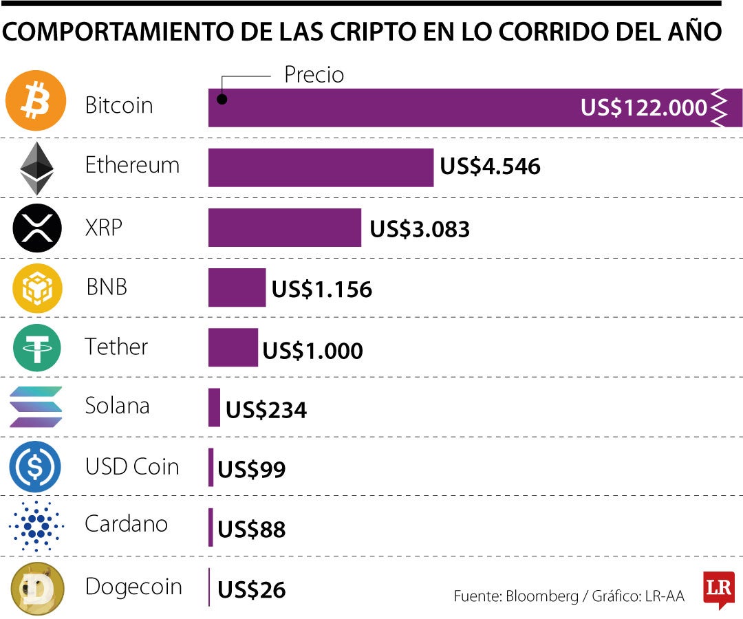 BNB, Cardano y Dogecoin, en listado de criptomonedas más valorizadas este  año